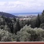 Meliades Apolpaina